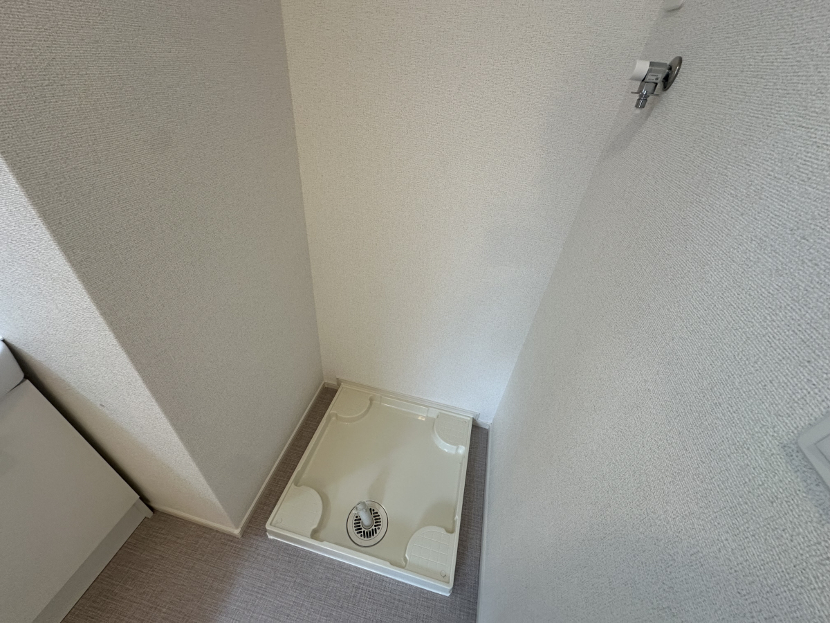 写真7