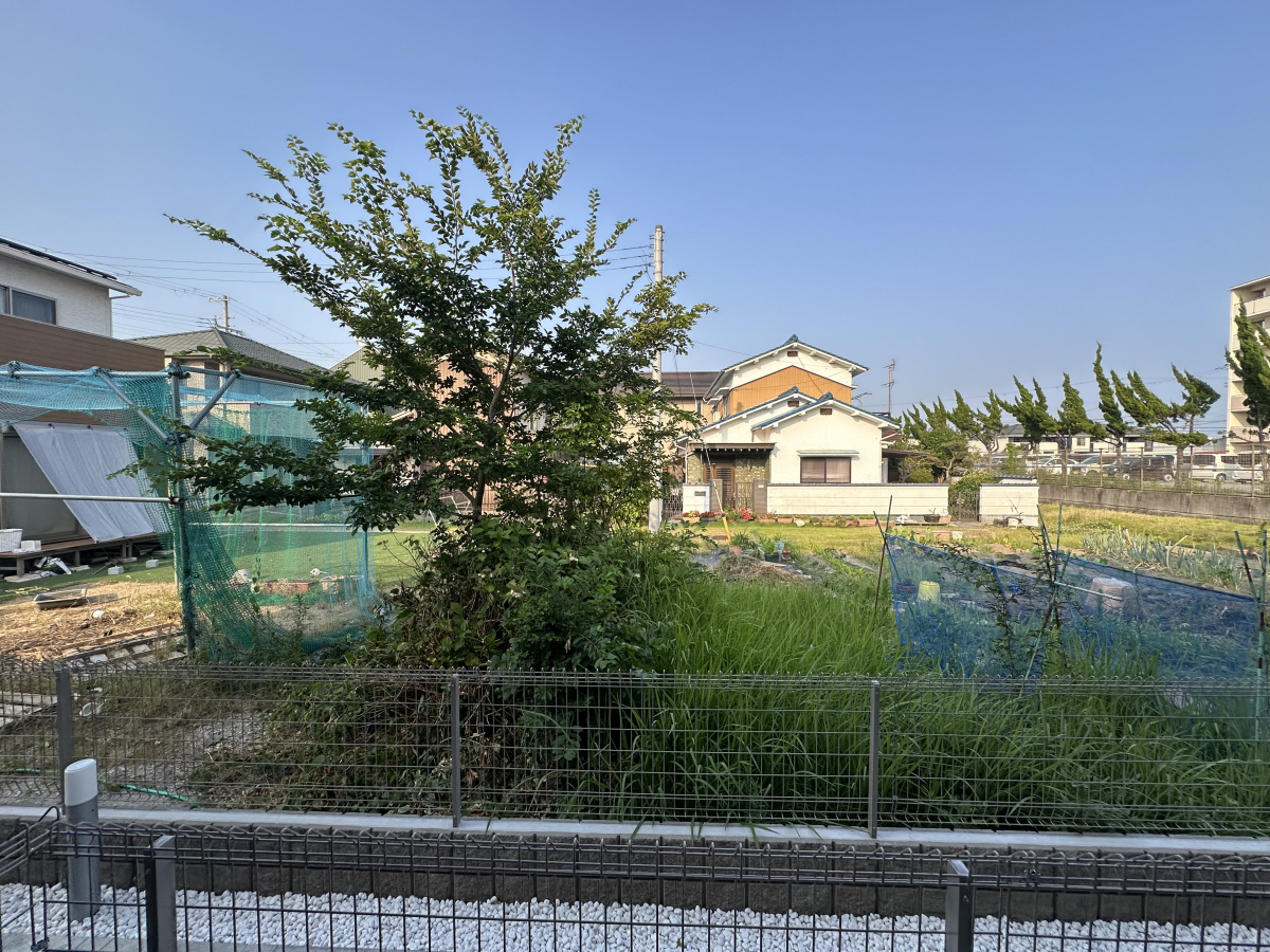 眺望 写真16