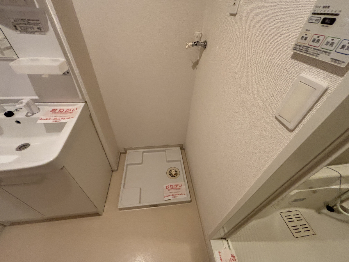 写真7