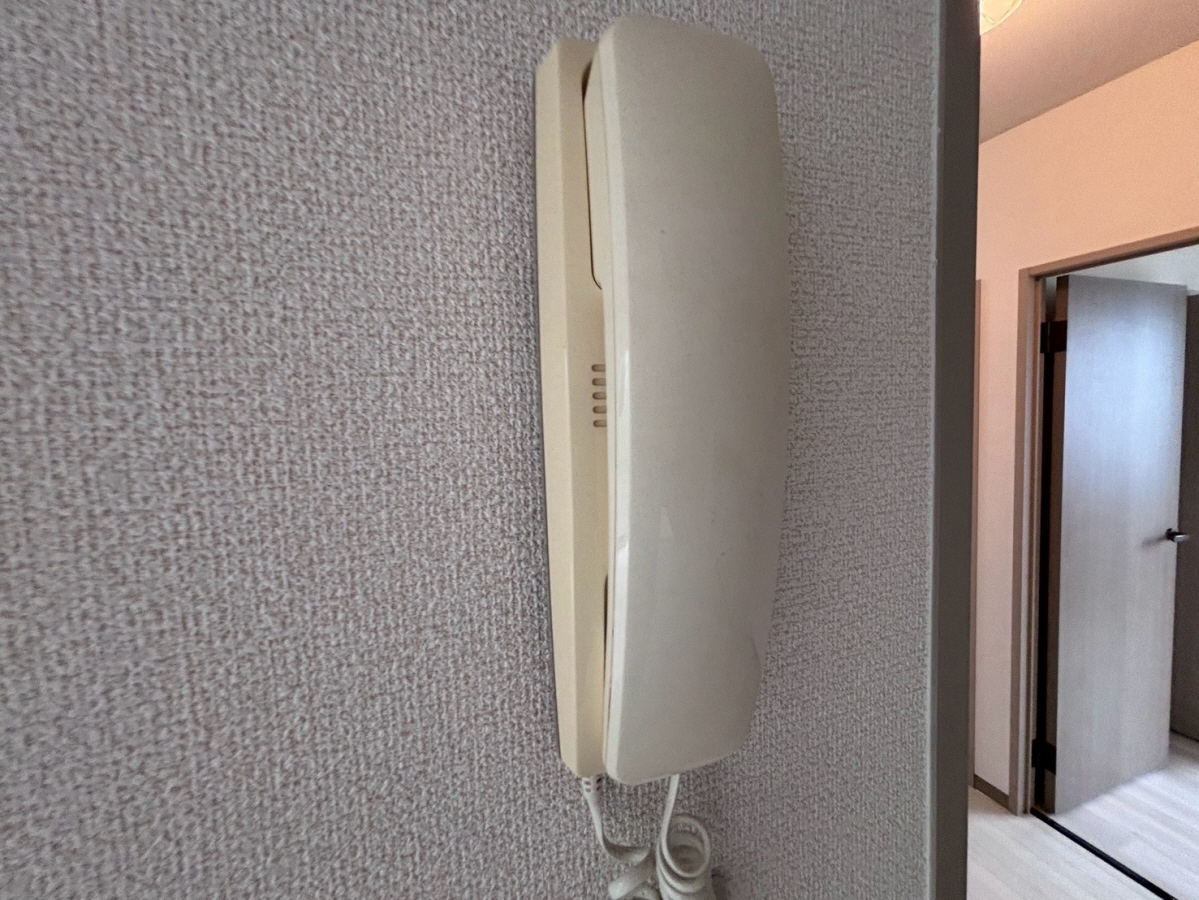 庭 写真11