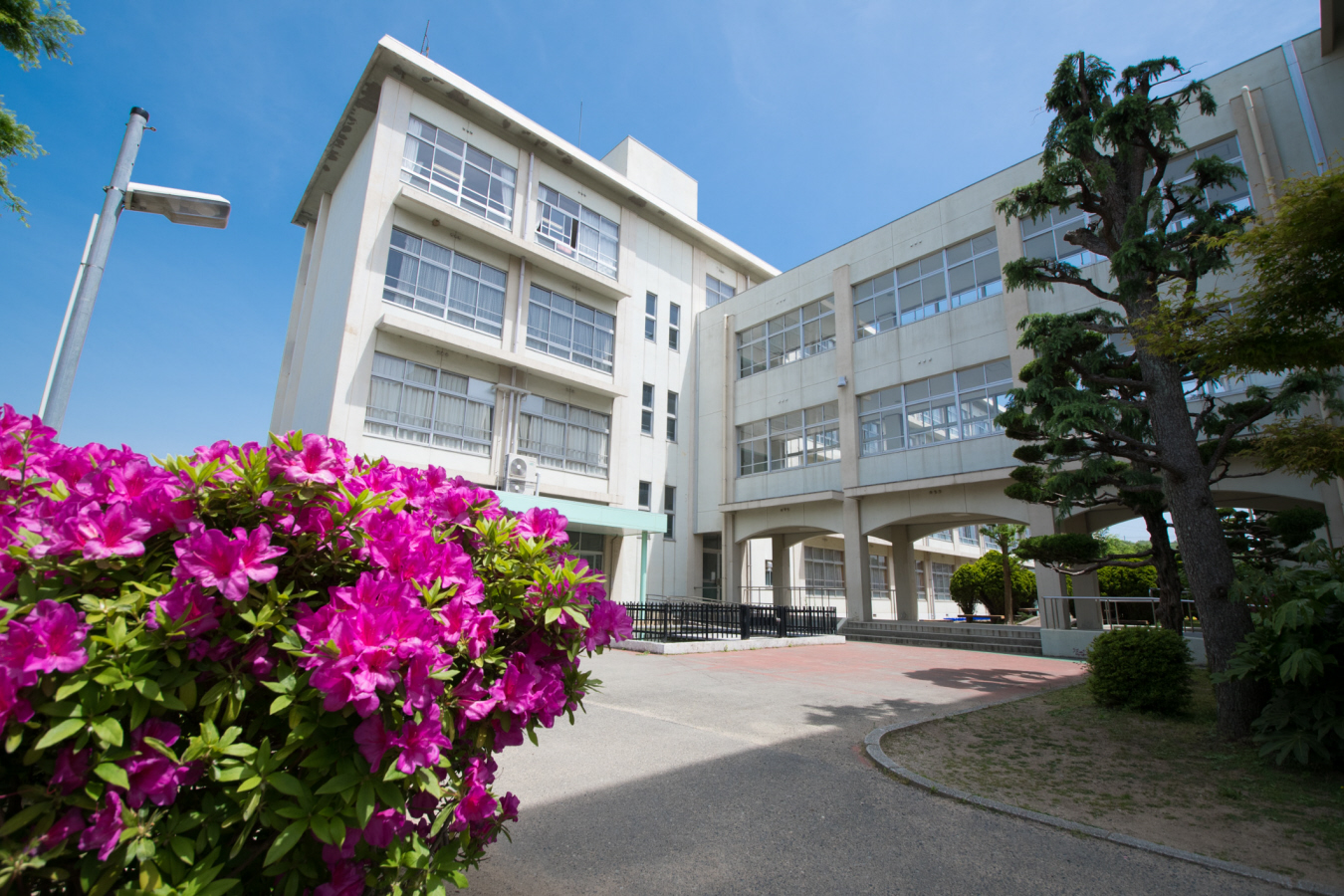 白鳥小学校まで1143m (徒歩15分) 写真21