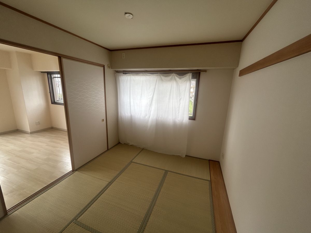 写真19