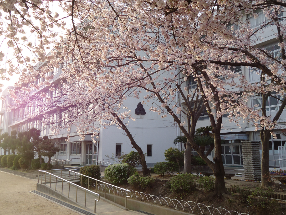 高岡小学校まで710m (徒歩9分) 写真21