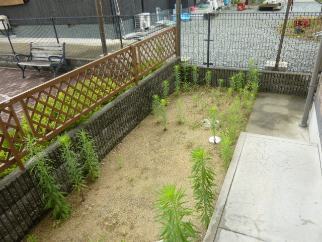 バルコニー・ベランダ 写真19