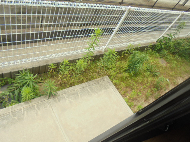 バルコニー・ベランダ 写真10