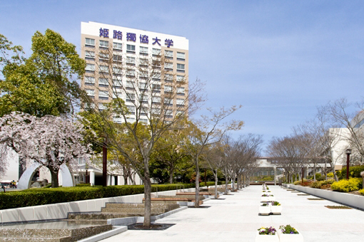 獨協大学 写真24