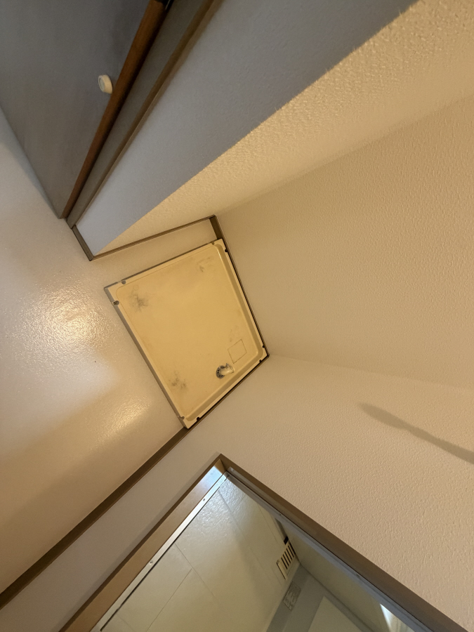 写真7