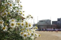 北浜小学校まで864m (徒歩11分) 写真21