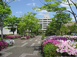 兵庫教育大学(加東市) 写真24