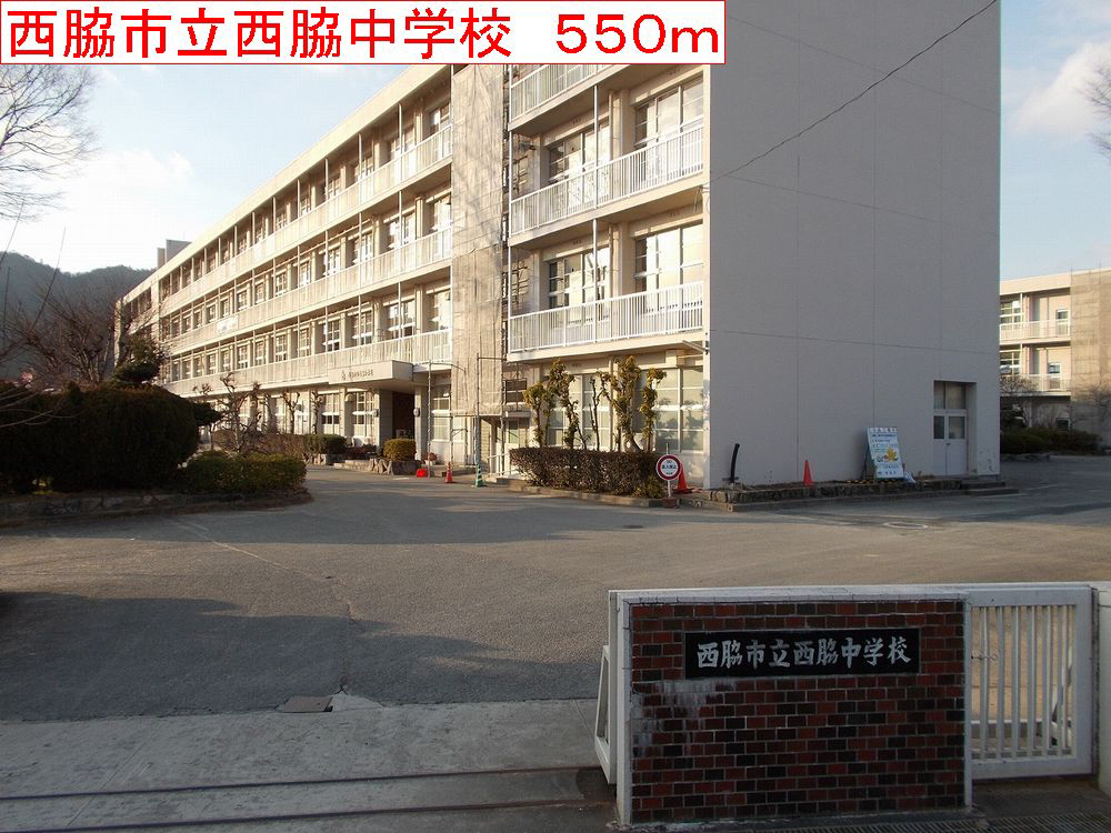 写真33