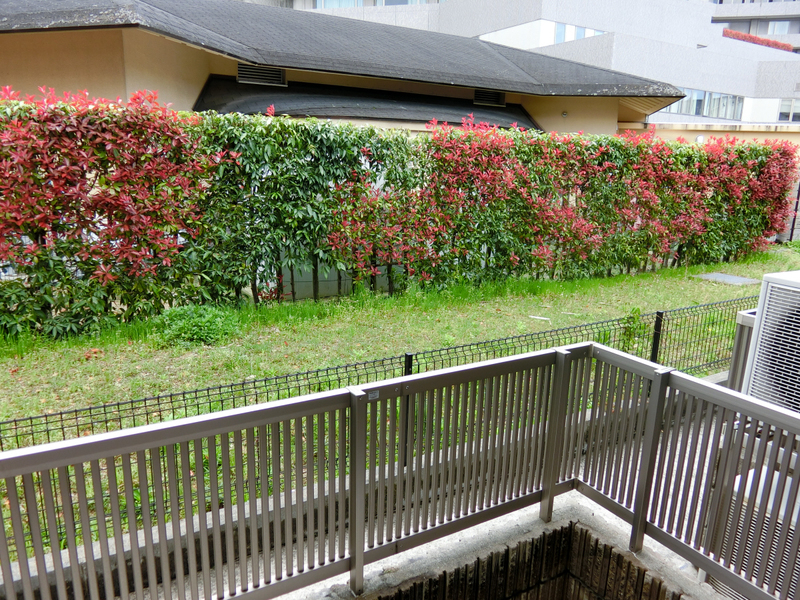 眺望 写真14