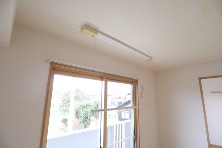 写真12