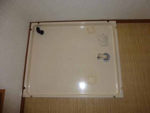 写真5