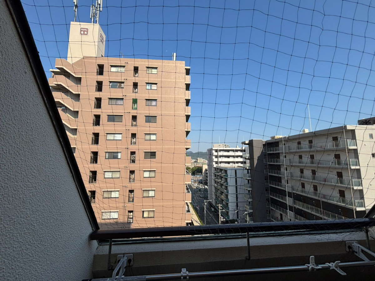 眺望 写真12
