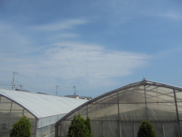 眺望 写真14