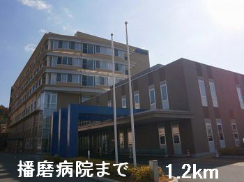 写真30