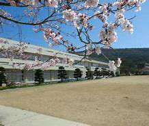 御崎小学校まで946m (徒歩12分) 写真21