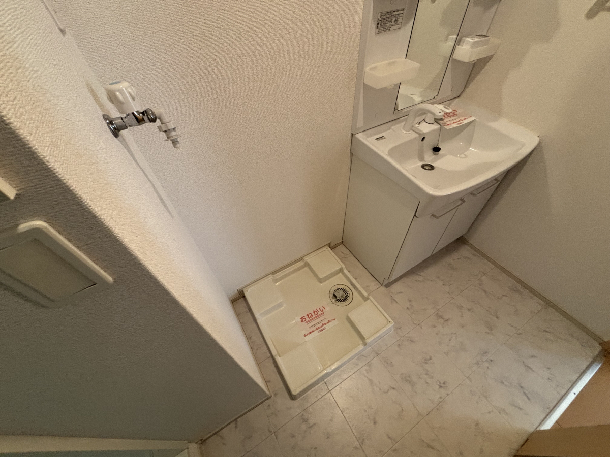 写真7