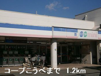 コープこうべまで1200m (徒歩15分) 写真26