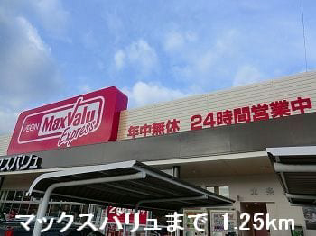マックスバリューまで1250m (徒歩16分) 写真26