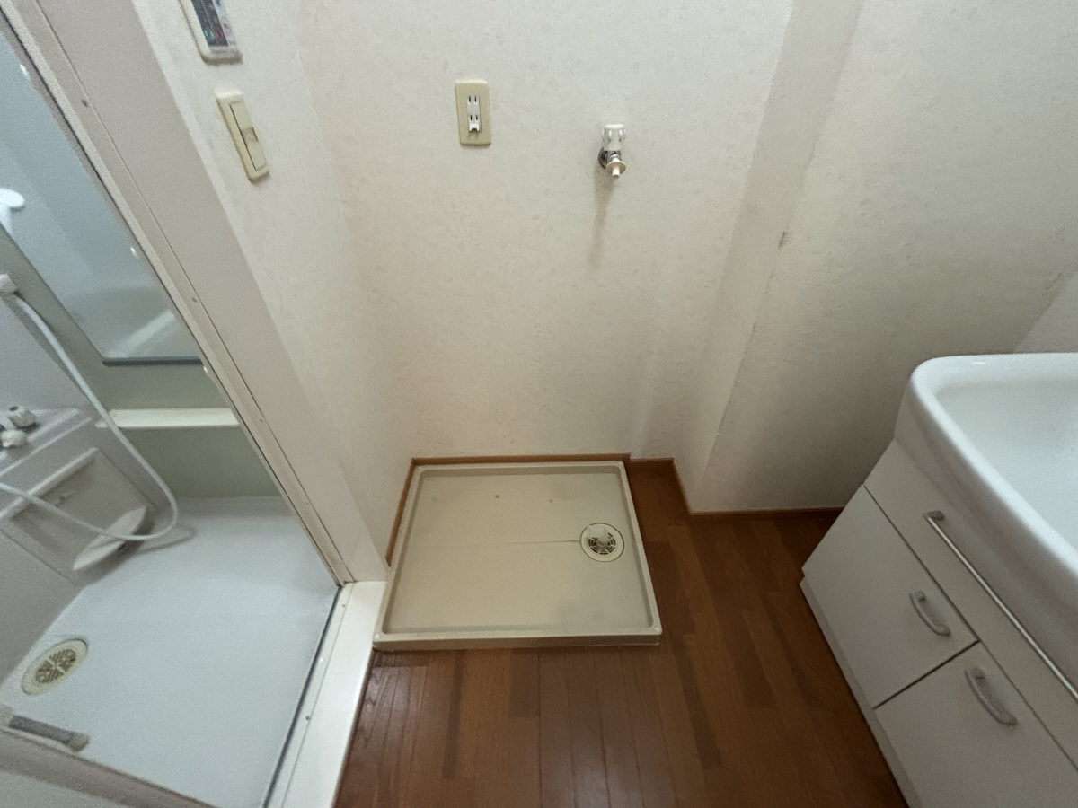 写真6