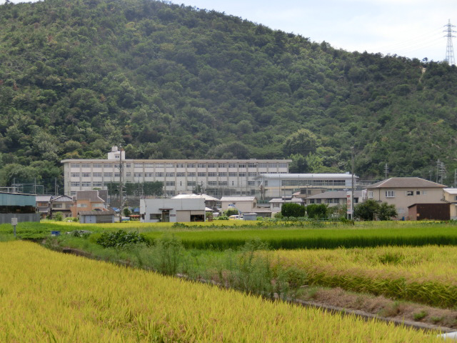 四郷中学校まで808m (徒歩11分) 写真22