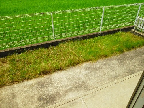写真29