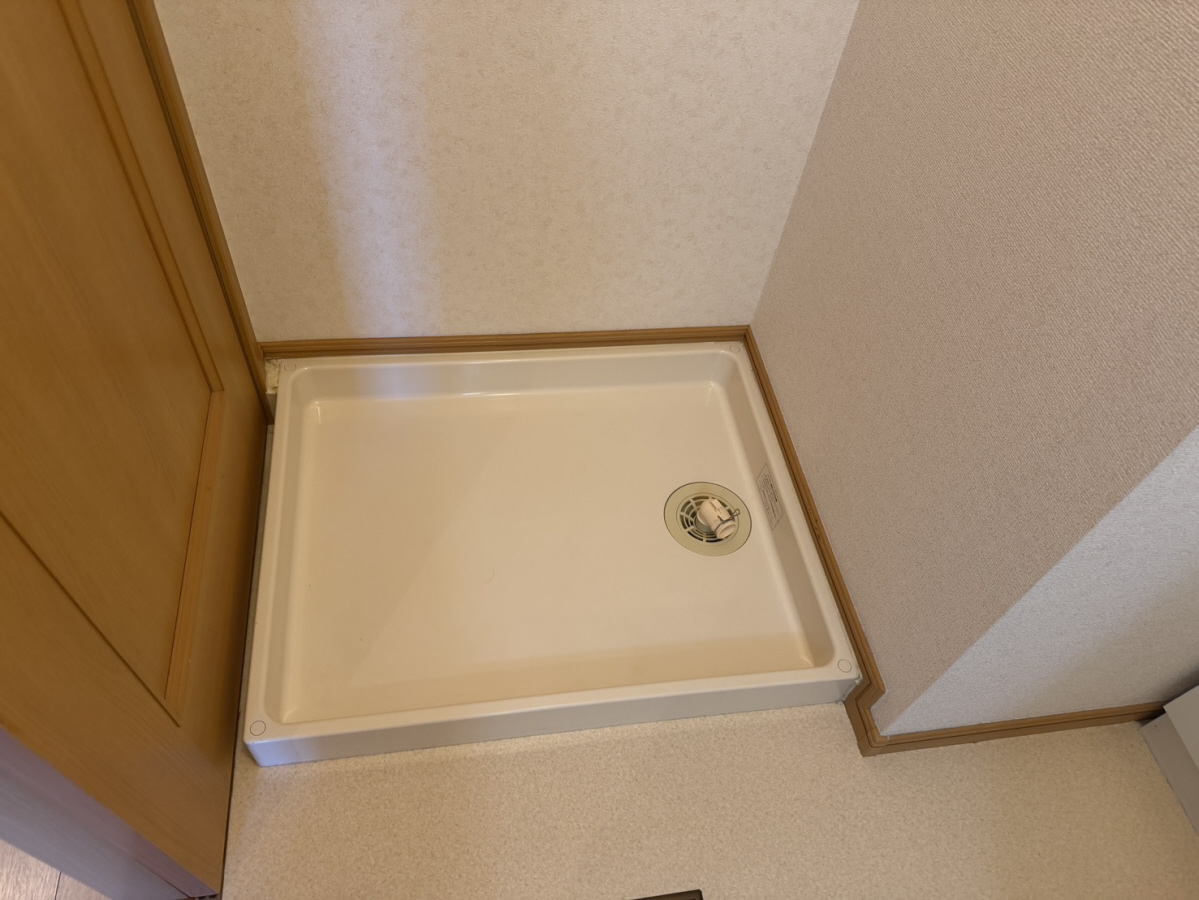 写真7