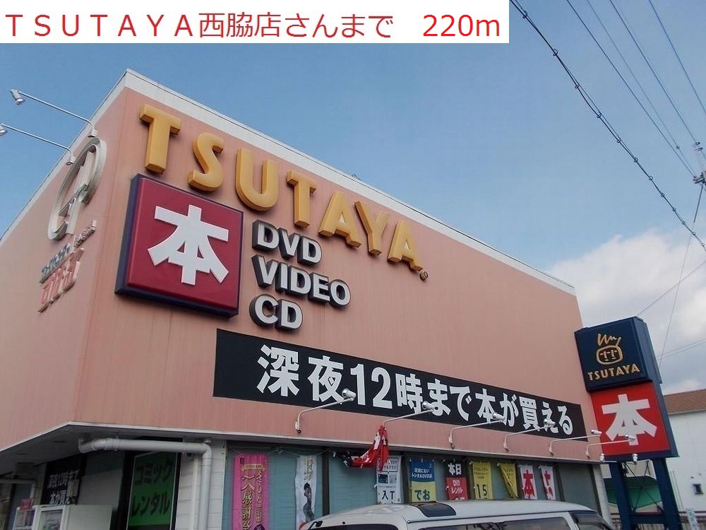 写真14