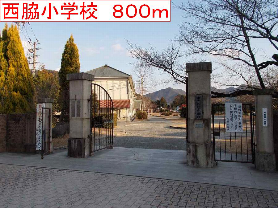 写真17