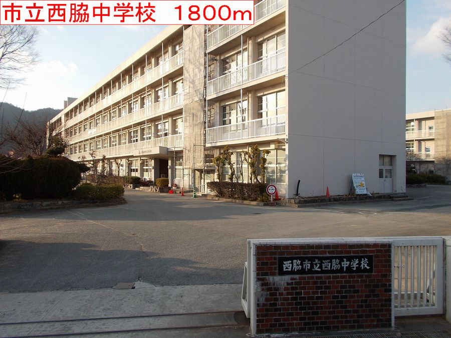 写真18