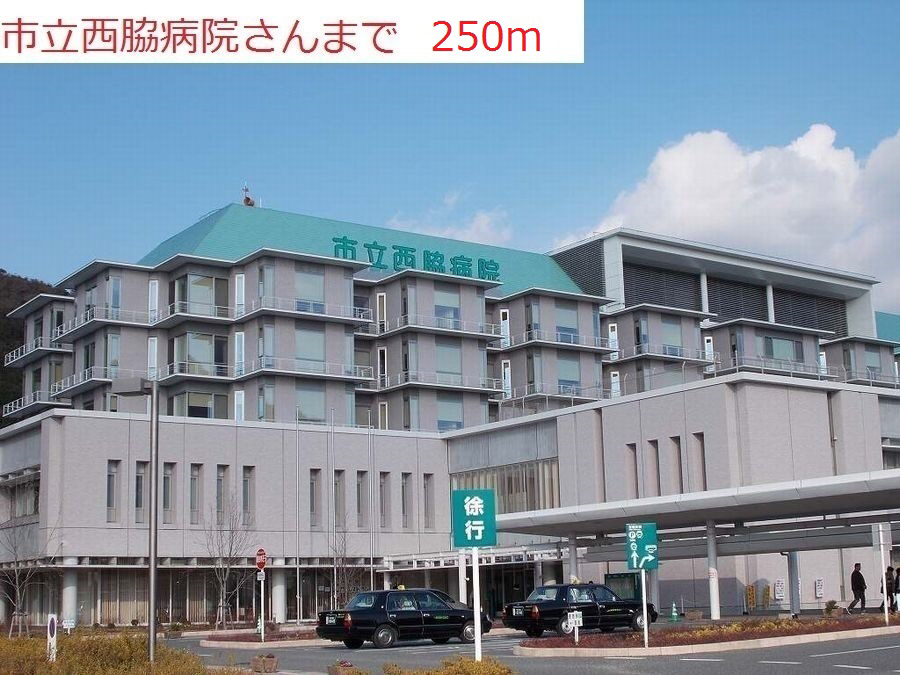 写真19