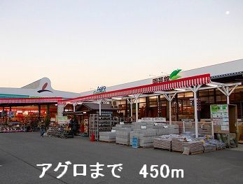 写真15
