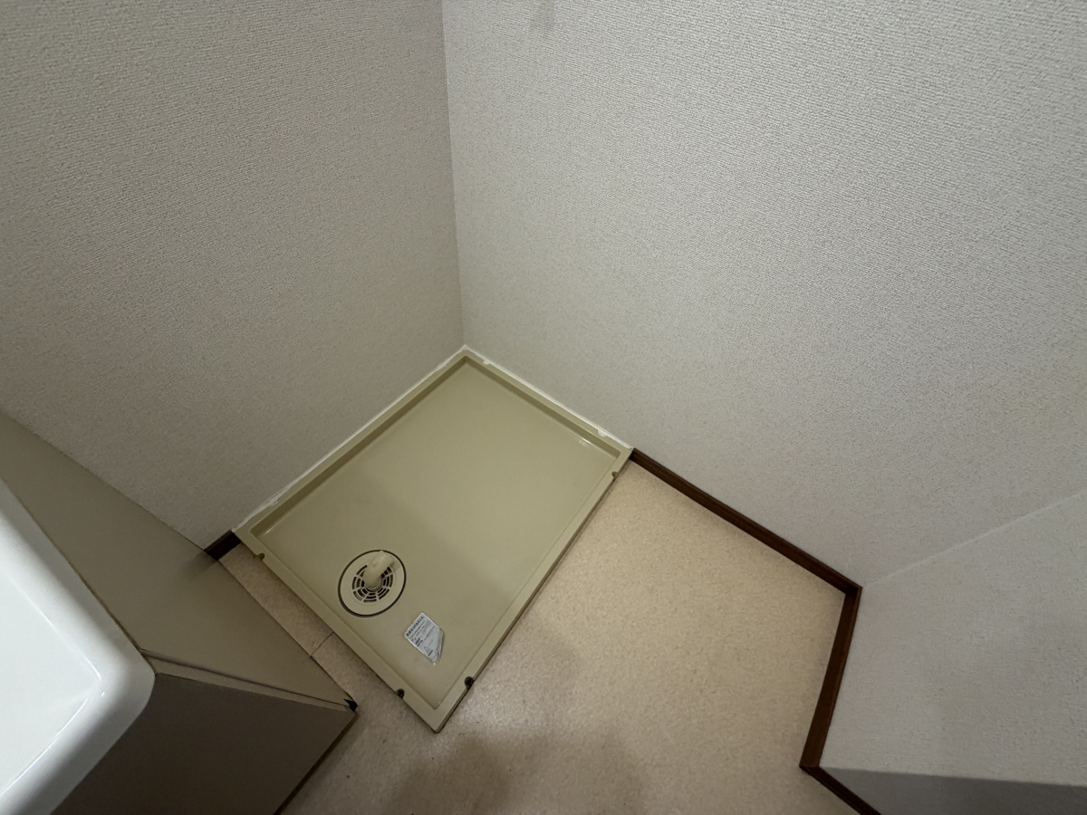写真12
