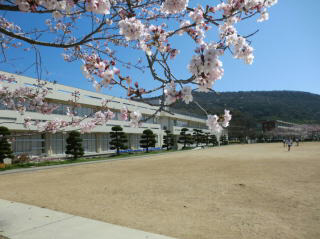 御崎小学校まで799m (徒歩10分) 写真21