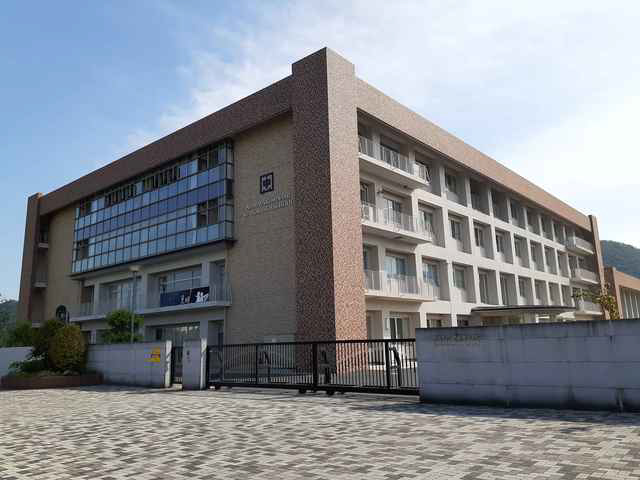 写真19