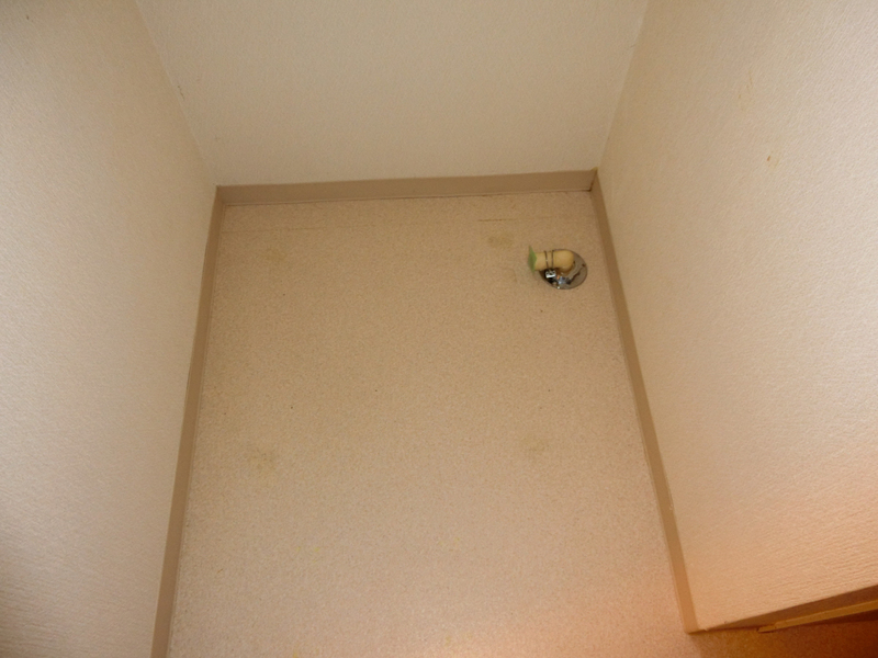 写真7