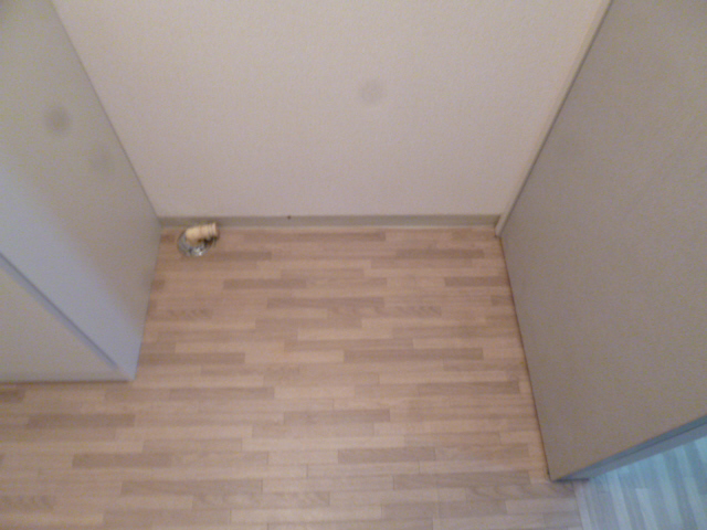 その他部屋・スペース 写真7