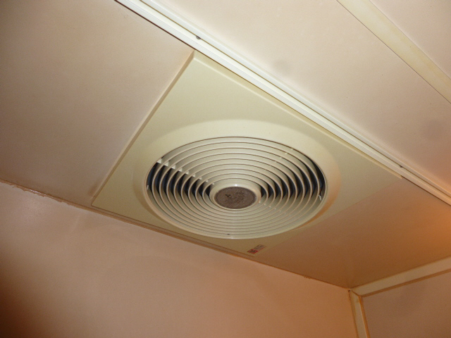 写真5