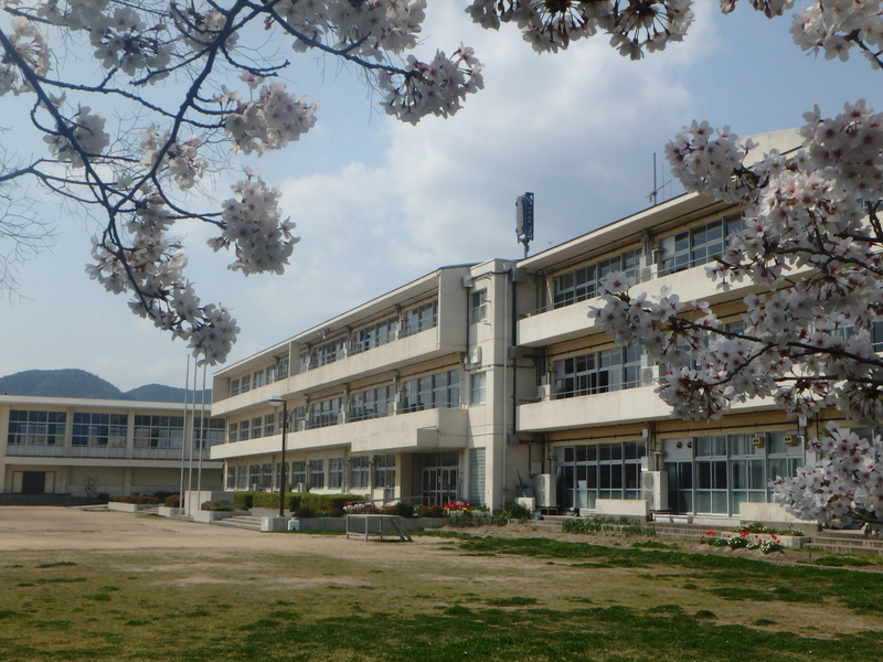 塩屋小学校まで883m (徒歩12分) 写真21