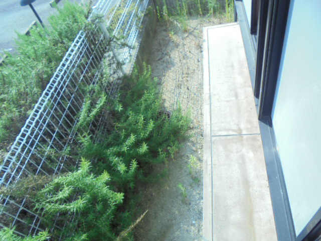 バルコニー・ベランダ 写真13