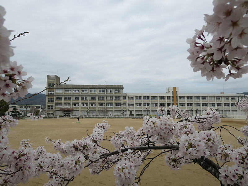 安室小学校まで928m (徒歩12分) 写真21