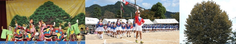 中町北小学校まで1810m (徒歩23分) 写真21