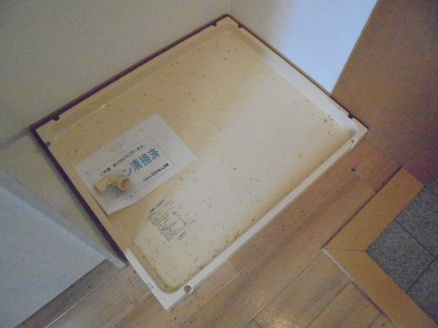 その他部屋・スペース 写真8