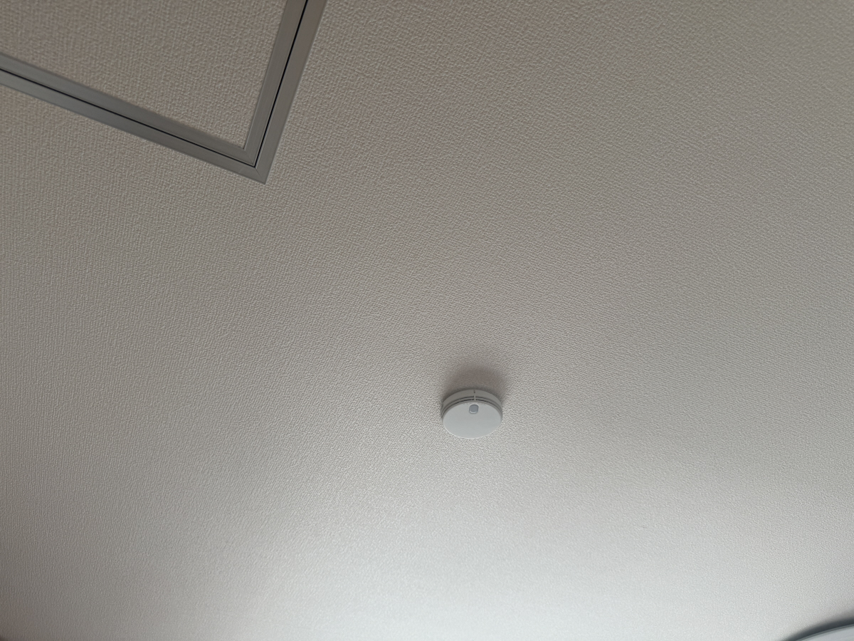 写真29