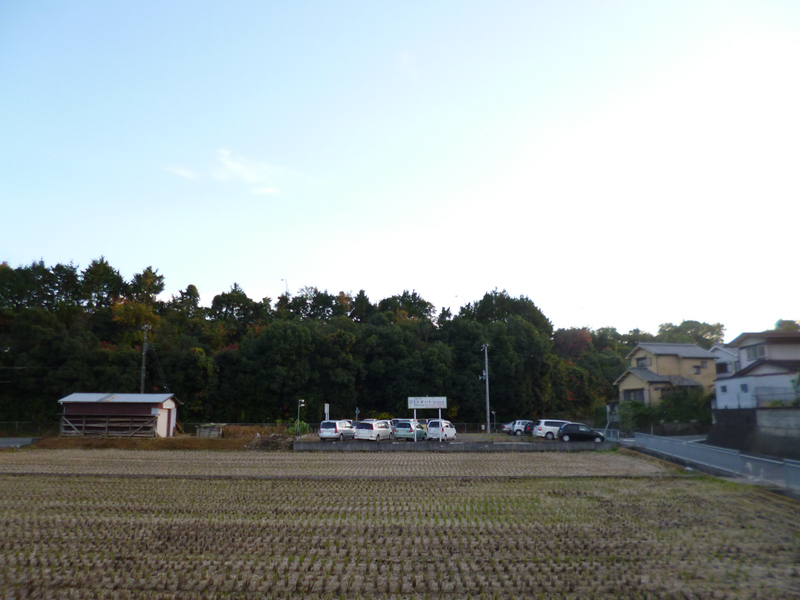 眺望 写真13