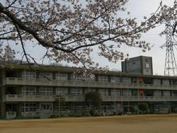 平田小学校まで1181m (徒歩15分) 写真21
