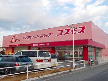 コスモス 写真26