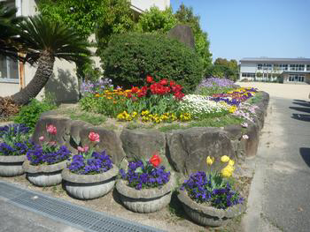 城北小学校まで368m (徒歩5分) 写真21