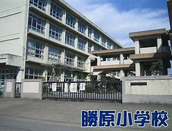 勝原小学校まで787m (徒歩10分) 写真21